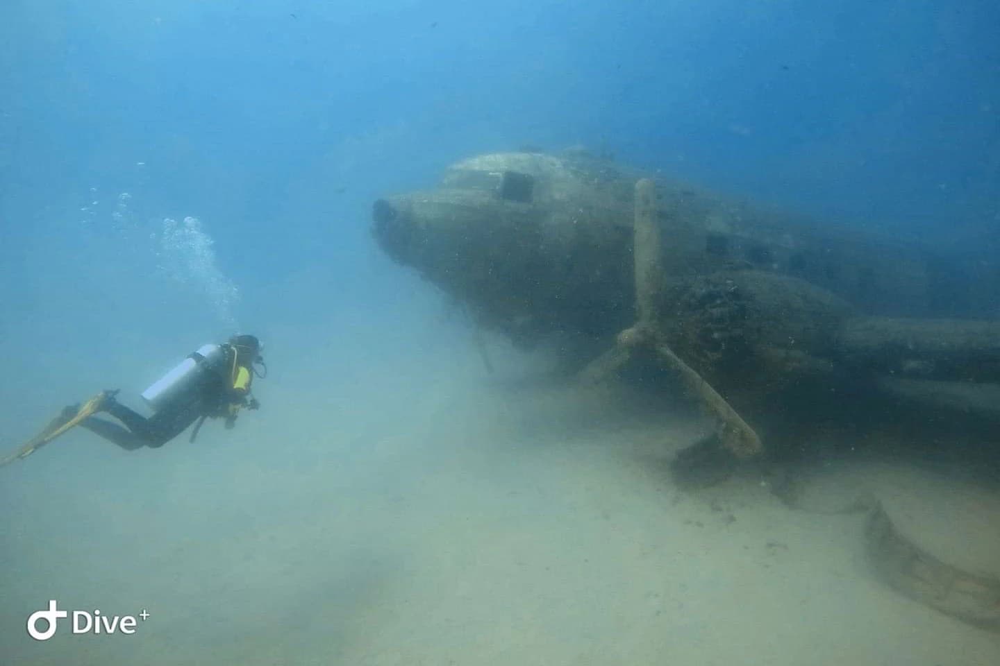 Дайвинг в Каш, Турция